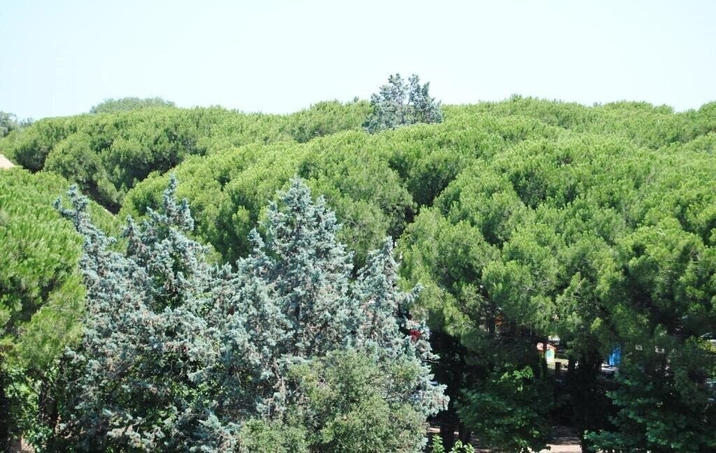 Картинка Capriccio 4*