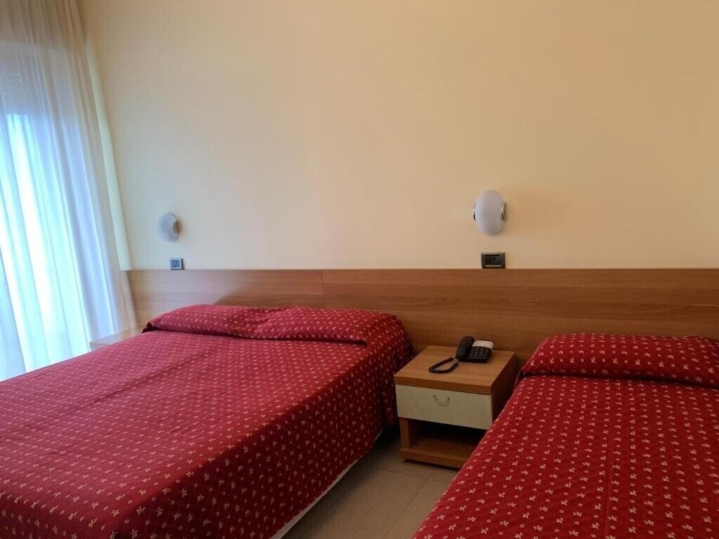 Отель Hotel Flamingo 3*