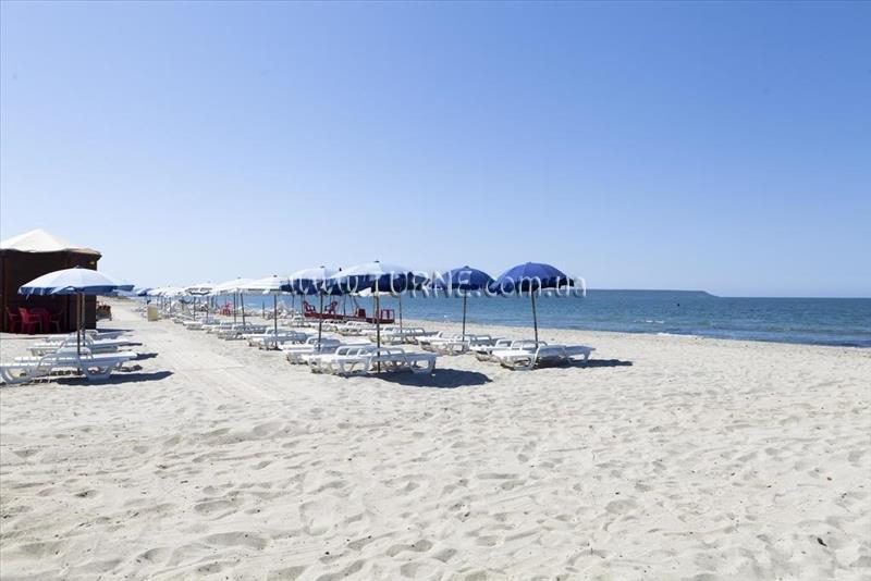 Фото Horse Country Resort 4*