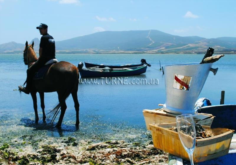 Отель Horse Country Resort 4*