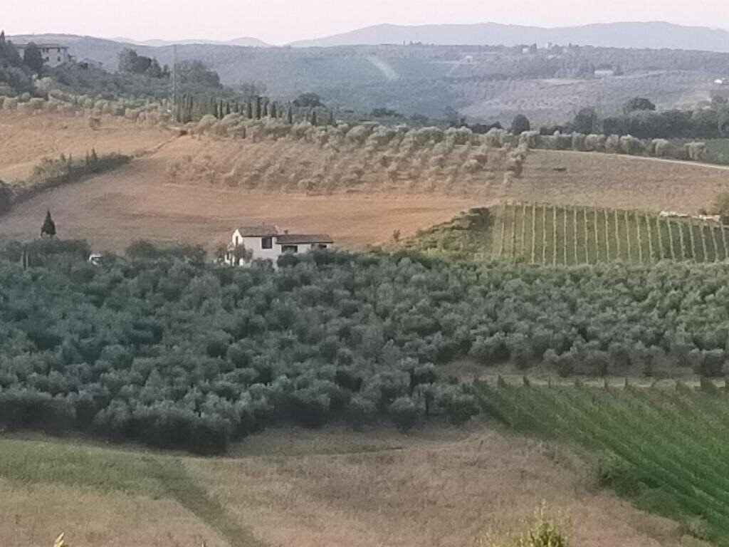 Фотография Villa Degli Olivi 2*
