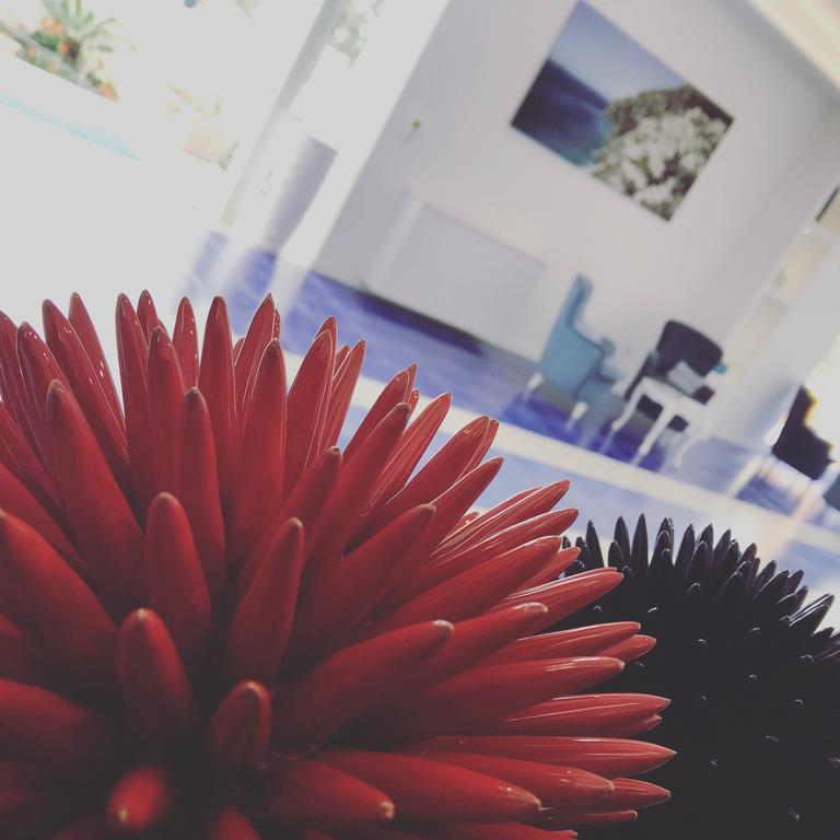 Готель Metropole 3*