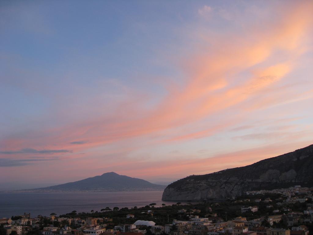 Картинка Central 3*