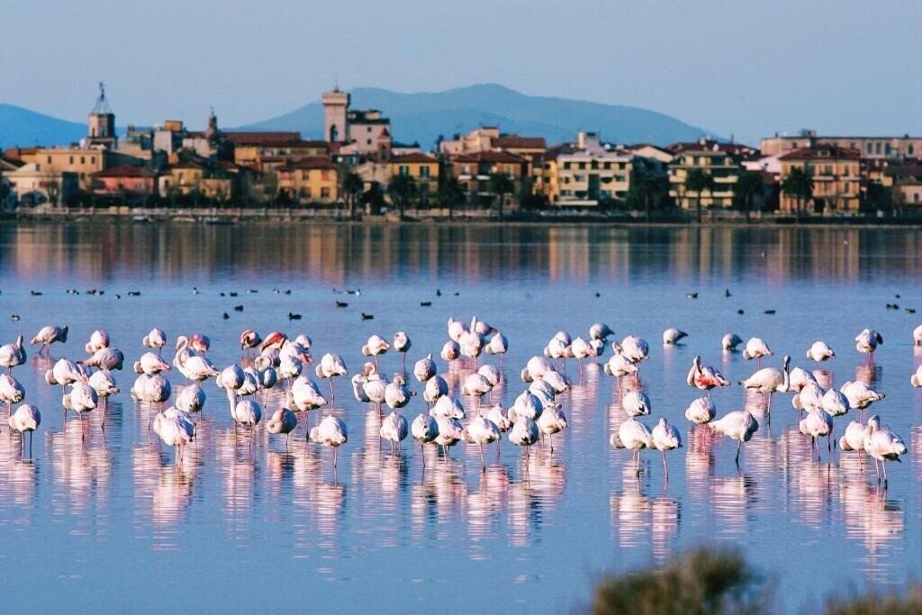 Фотография Park Residence (Orbetello) 3*