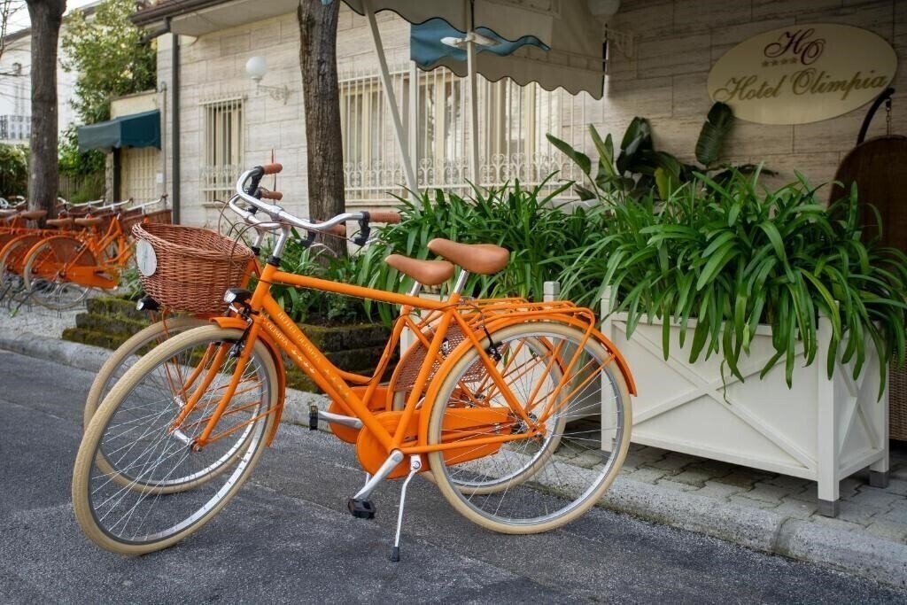 Фотографія Hotel Olimpia (Forte Dei Marmi) 4*