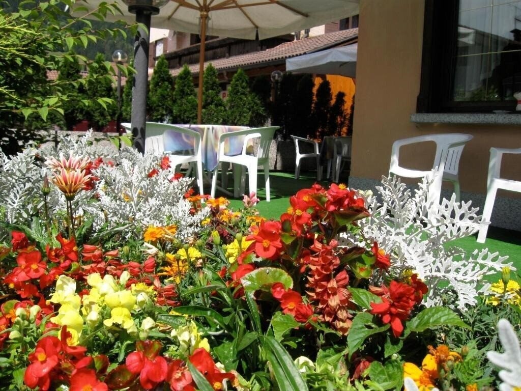 Фотография Hotel Binelli 3*