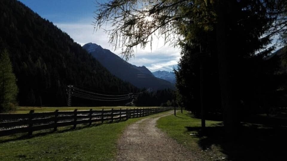 Фотографія Hotel Milano Vermiglio 3*