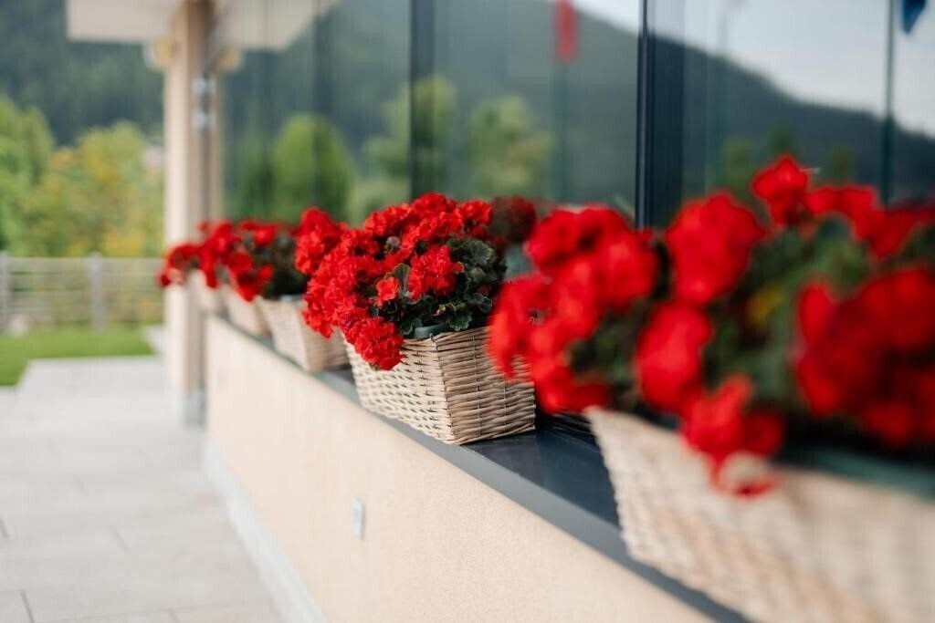 Фотографія Monte Bondone Vaneze Hotel 4*