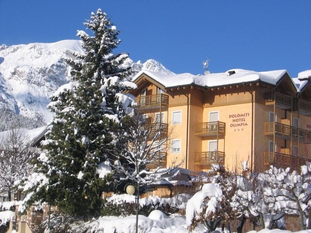 Фотография Dolomiti Hotel Olimpia 3*