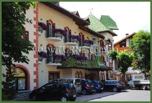 Изображение Bernard 2*