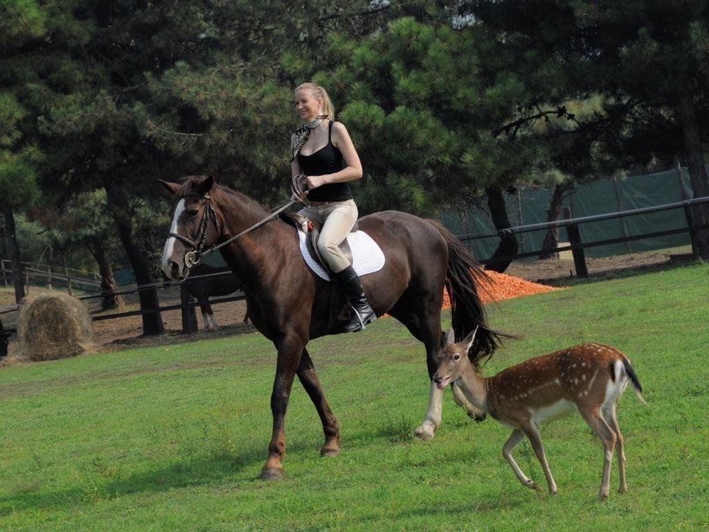 Зображення Albarella Island Apartments 1*