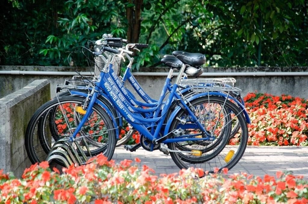 Картинка Novo Rossi 3*