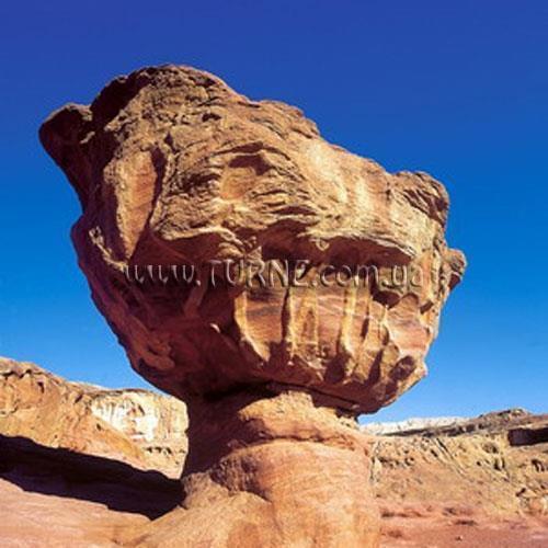 Изображение Bingo 3* 3*