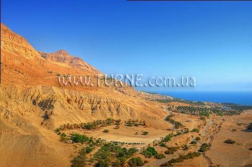 Фото Ein-Gedi Resort 4*