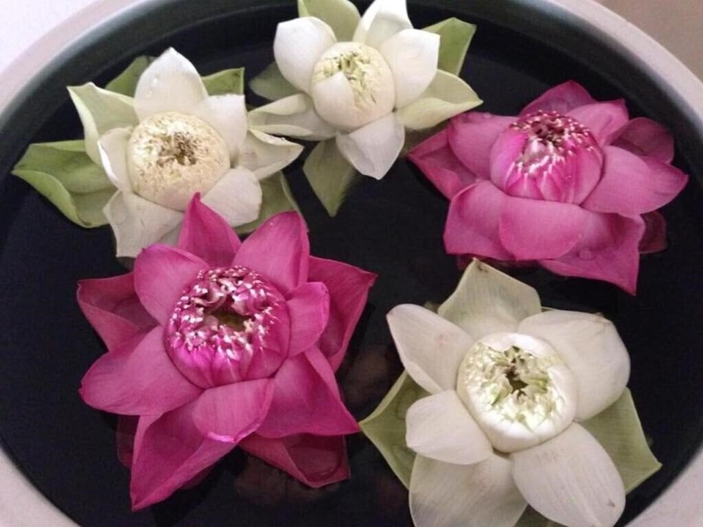 Картинка Maison Arnica Hotel & Restaurant 3*