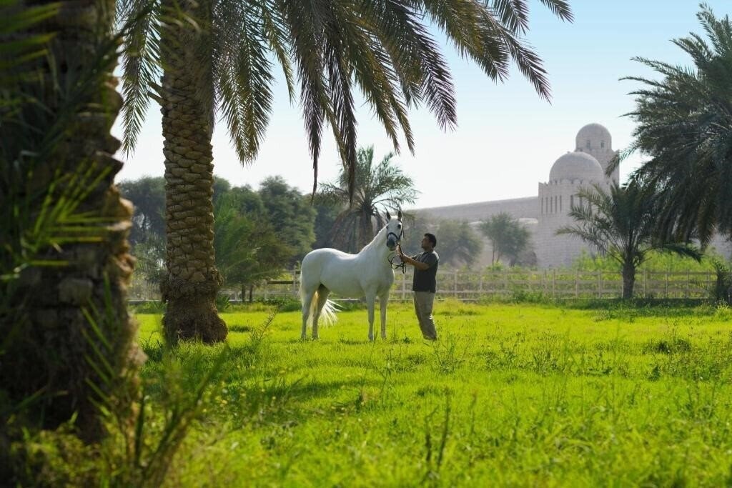 Фотография Al Samriya Doha Autograph Collection 5*