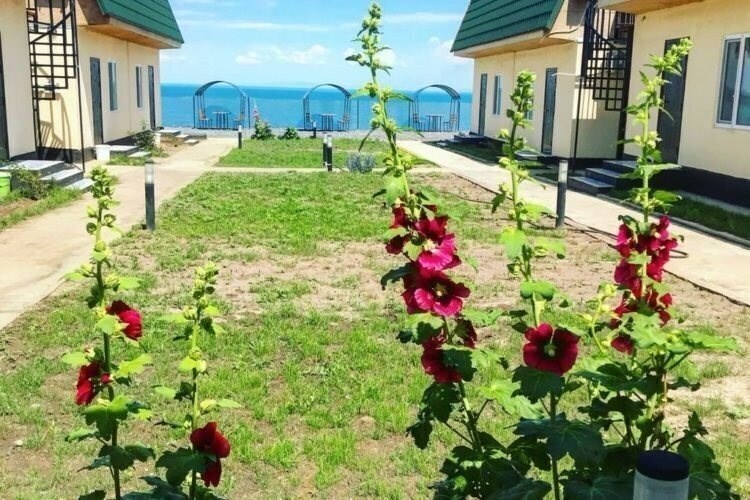 Зображення Rivera Akchi 3*
