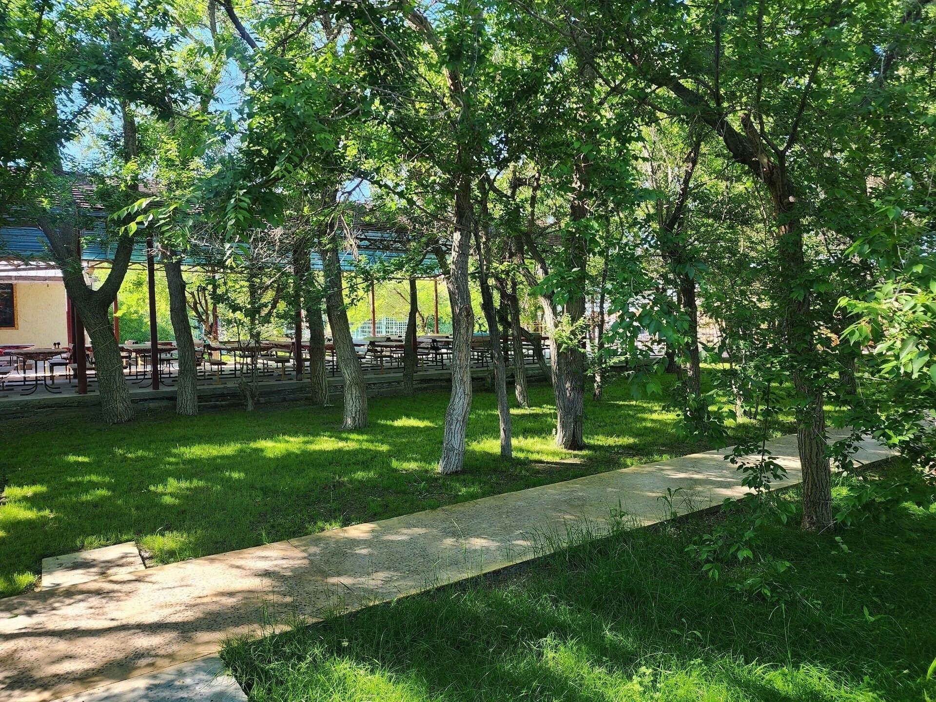 Изображение Oasis Akshi 3*