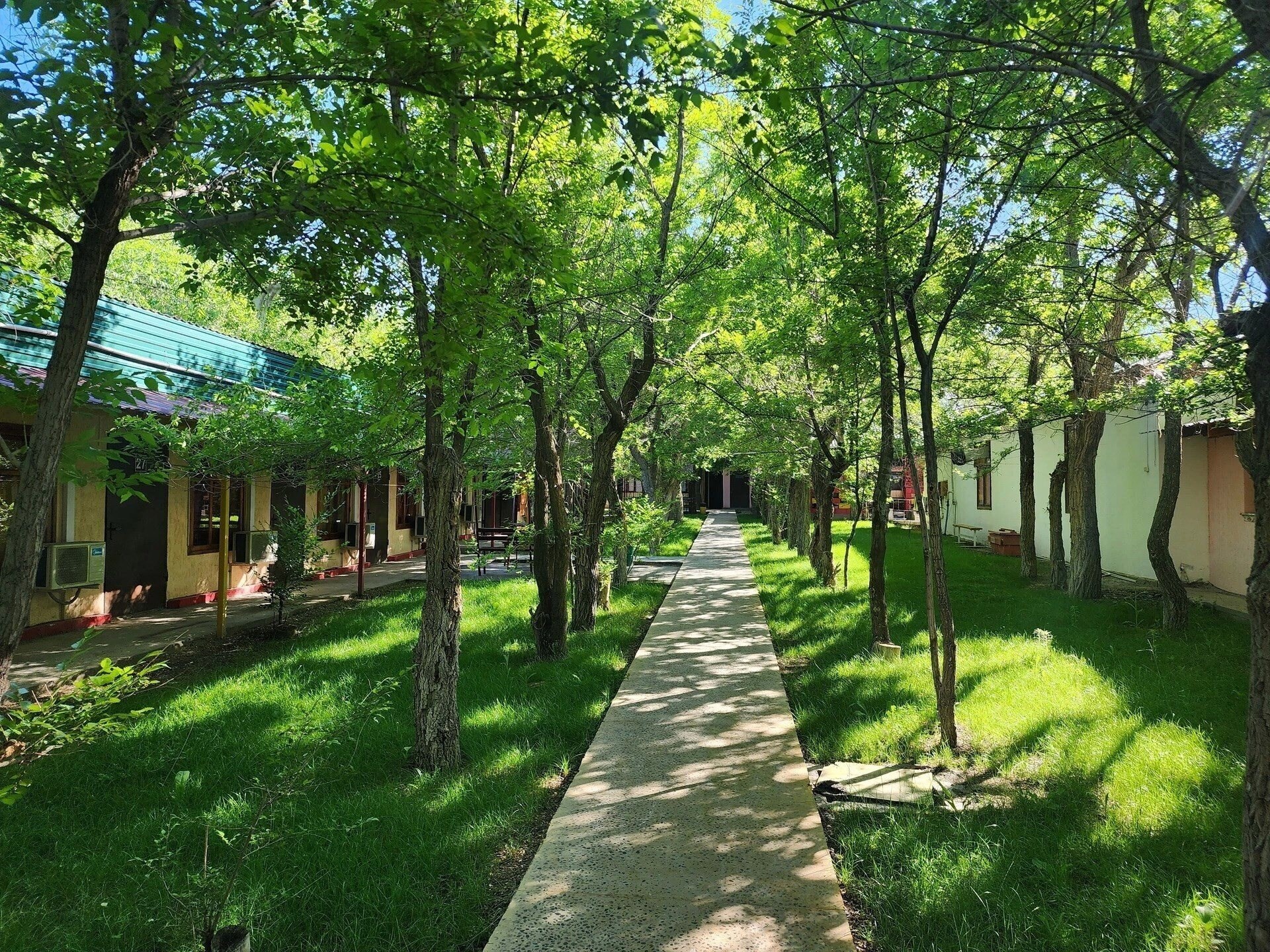 Отель Oasis Akshi 3*