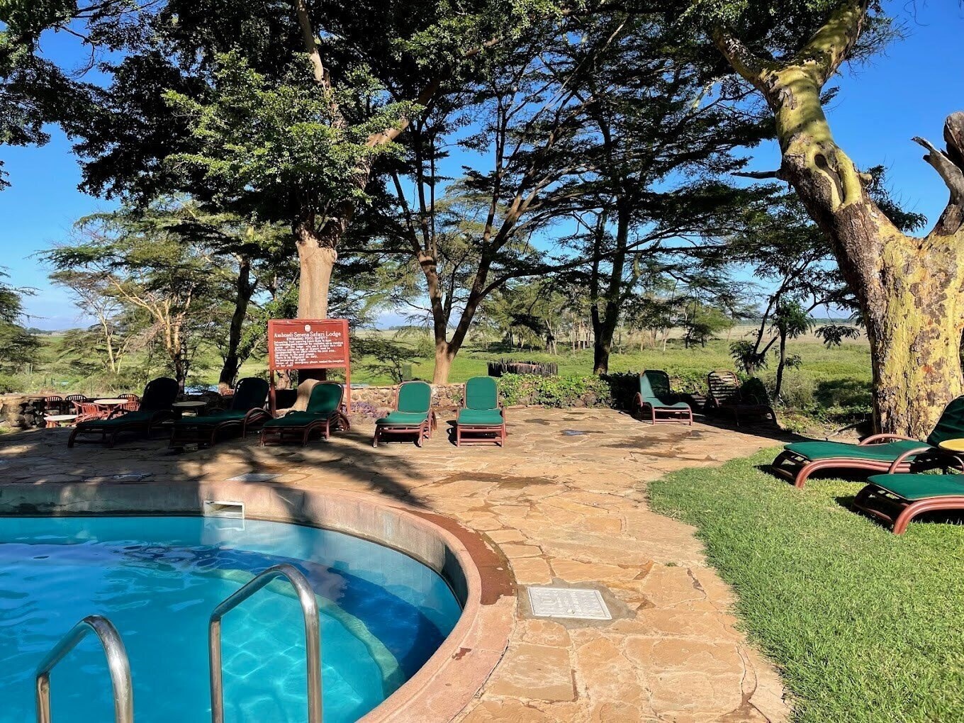 Зображення Amboseli Serena Safari Lodge 4*