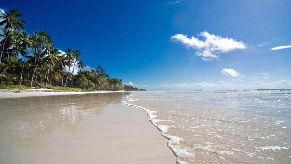 Фотографія Almanara Resort 5*