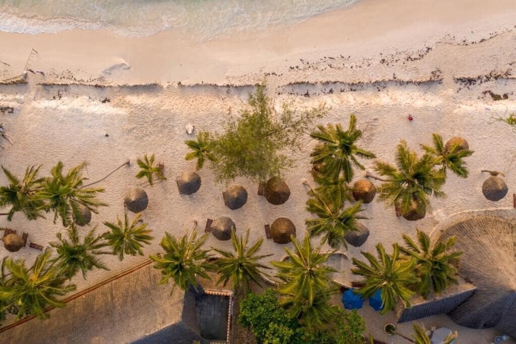 Фотографія Turtle Bay Beach Club 3*