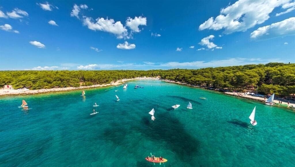 Отель Pine Beach 3*