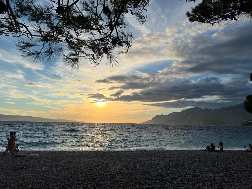 Картинка App Mario Brela 3*