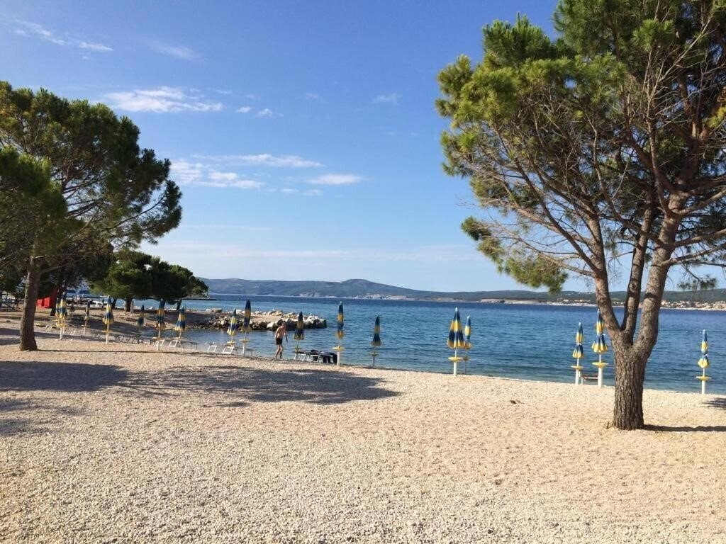 Фотография Delfin Guest House 3*