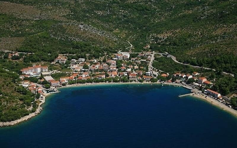 Фотография Quercus 4*