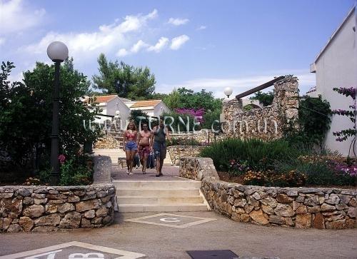 Зображення Trim 3*