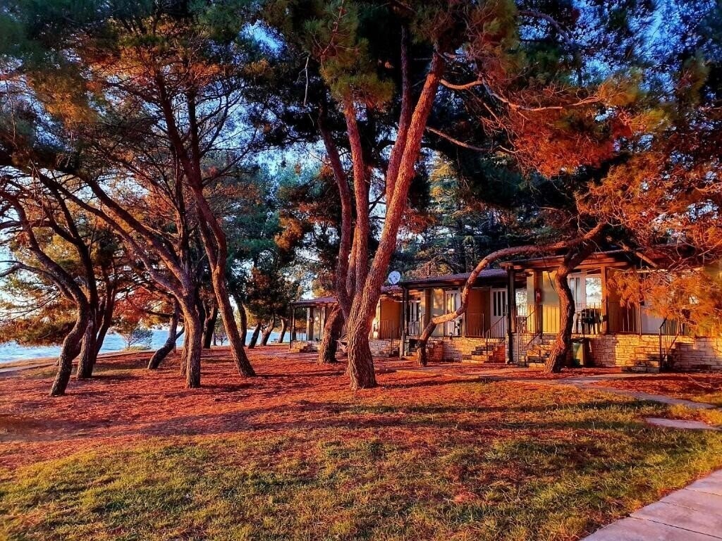Отель Family Bungalow Pineta 2*