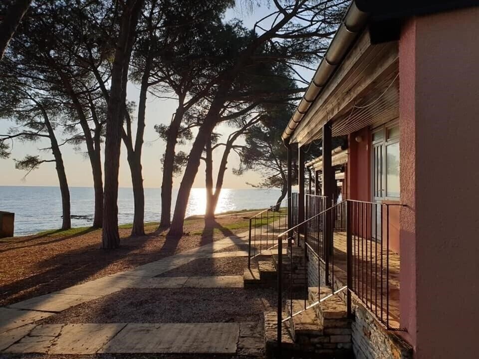 Фото Family Bungalow Pineta 2*