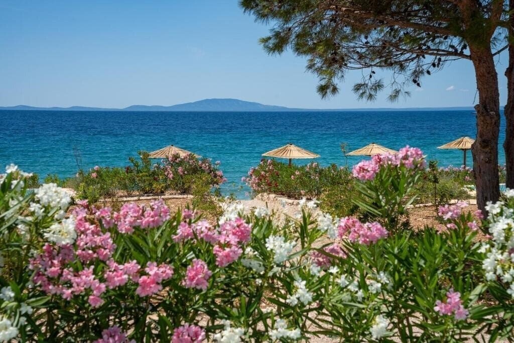 Картинка Terra Park Phalaris 3*