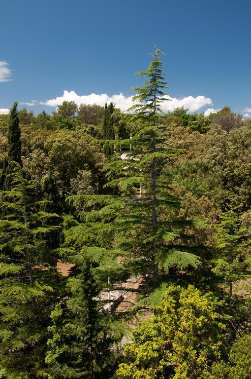 Зображення Eva 2*