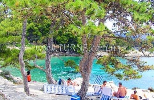 Фотографія Tourist resort Suha Punta 3*