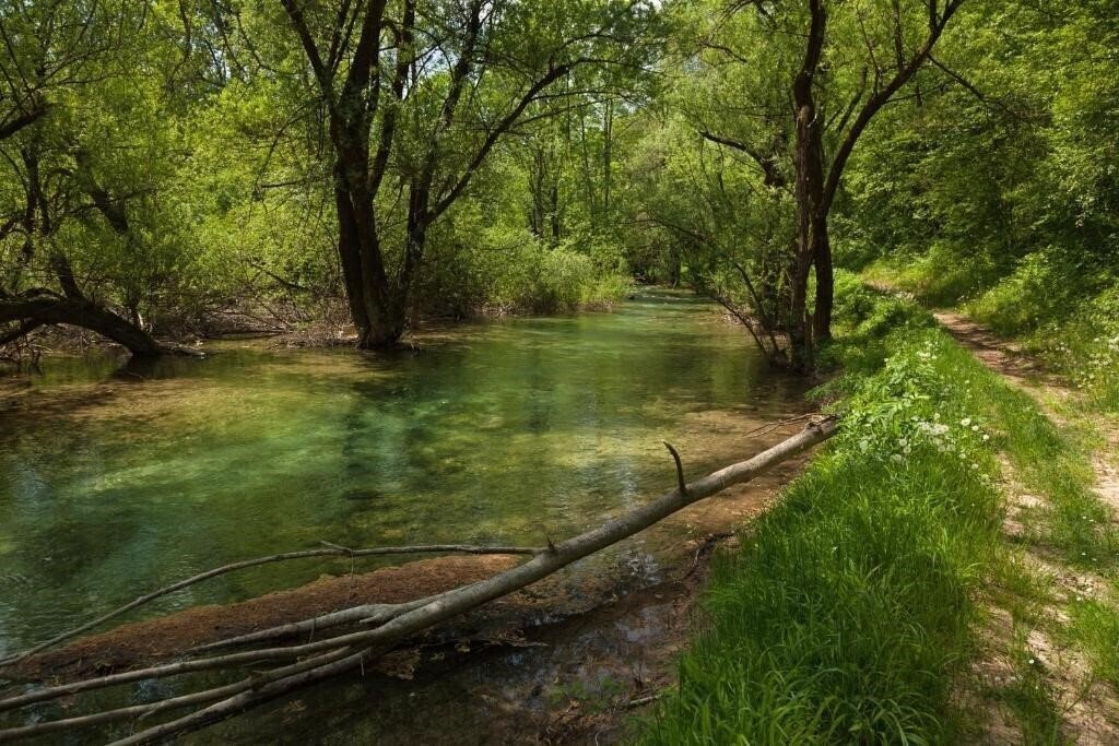 Картинка Guesthouse Zafran 3*