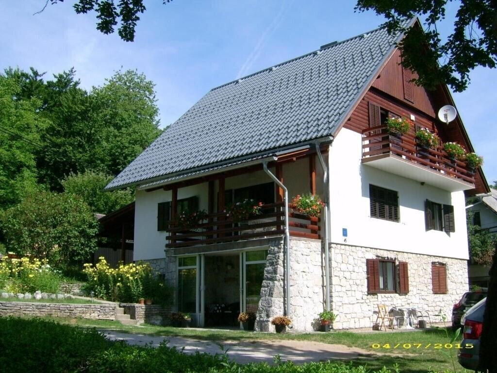 Зображення Vila Vuk 3*