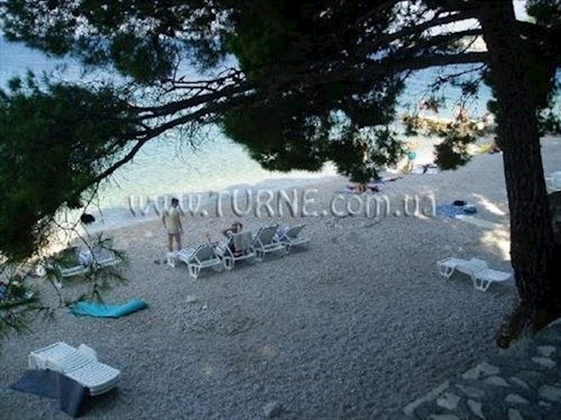 Отель Medora Auri Family Beach (ex. Minerva) 4*