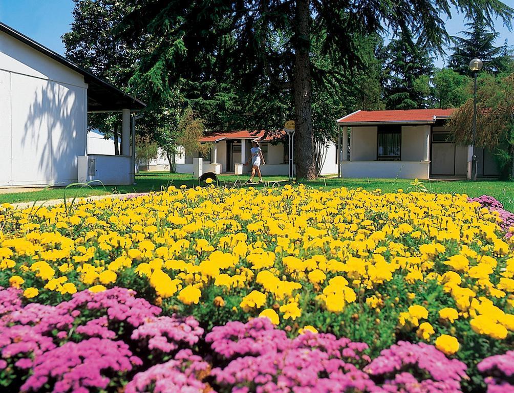 Фото Village Laguna Park 4*