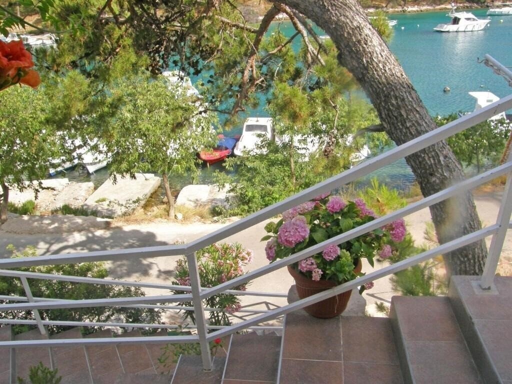 Фото App Elvis House 3*
