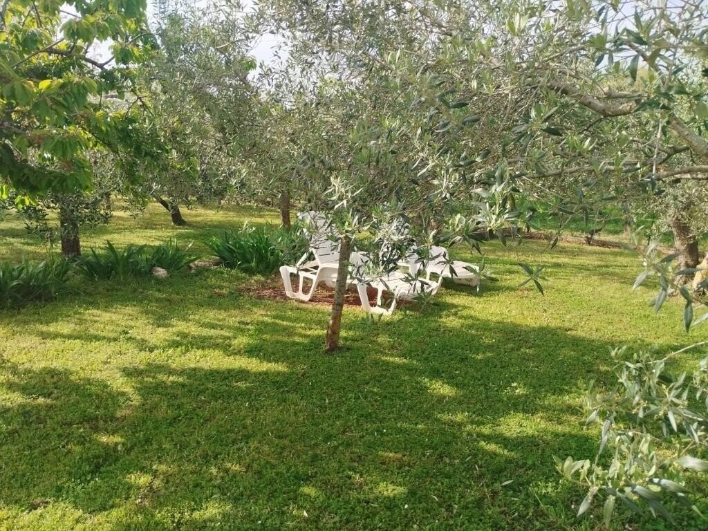 Картинка Holiday Hotel 3*