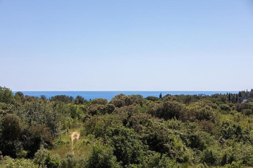 Изображение Mareonda Private Apartment 4*