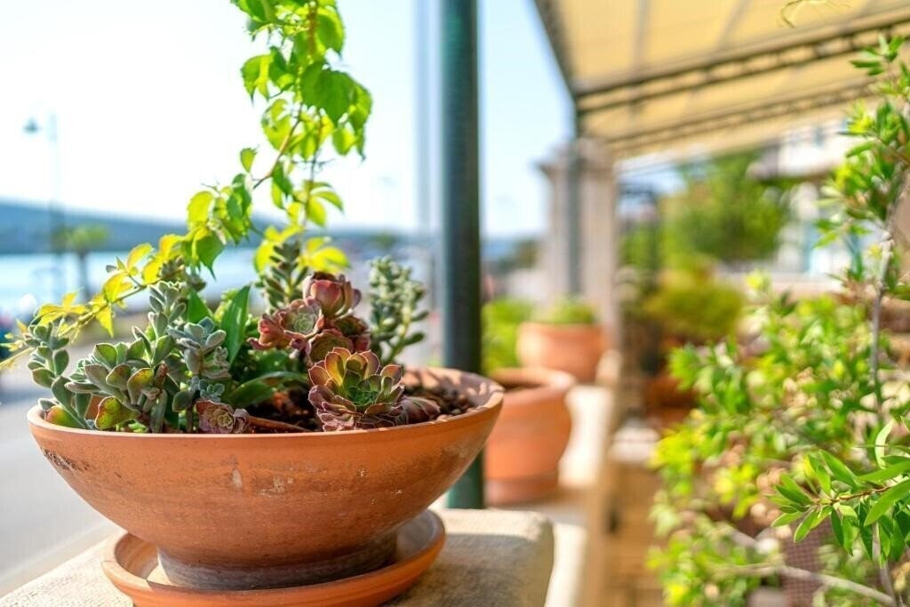 Картинка Heritage Hotel Tisno 4*