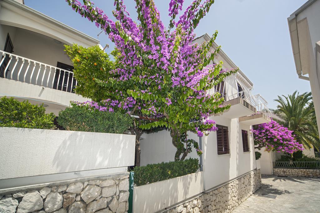 Фотография Lavica Deluxe Beach Apartments 3*