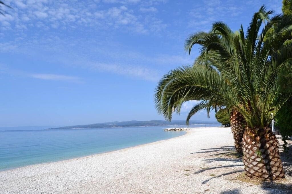 Фотография Palma Promajna Apartments 4*