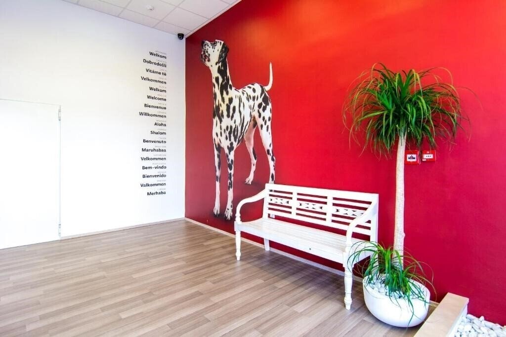 Фотографія Design Hostel 101 Dalmatinac 2*