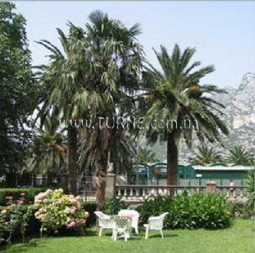 Отель Apartments Vojin апартаменты