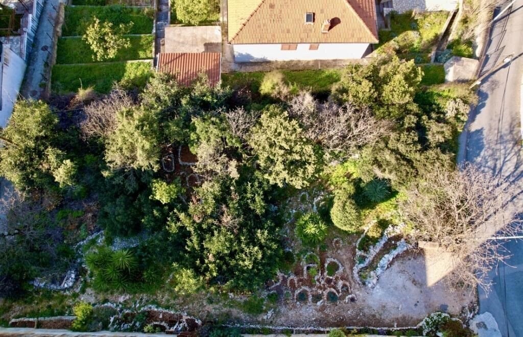 Фотографія Villa Cvita 3*