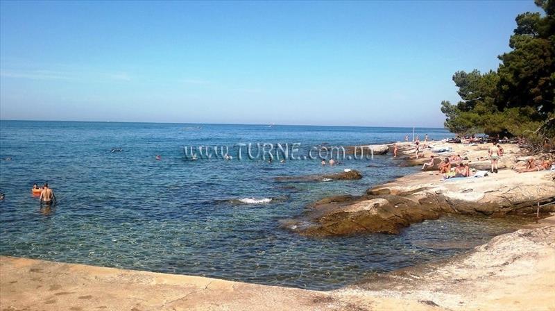 Фотографія Moj Mir 2*